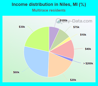 Income distribution in Niles, MI (%)