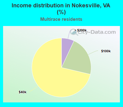 Income distribution in Nokesville, VA (%)