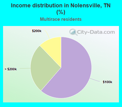 Income distribution in Nolensville, TN (%)