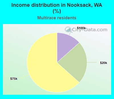 Income distribution in Nooksack, WA (%)