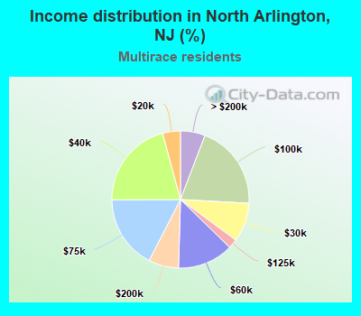 Income distribution in North Arlington, NJ (%)