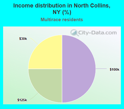 Income distribution in North Collins, NY (%)