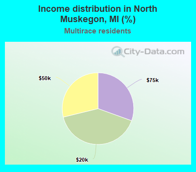 Income distribution in North Muskegon, MI (%)