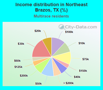 Income distribution in Northeast Brazos, TX (%)