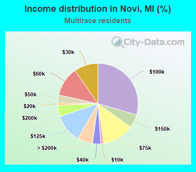 Income distribution in Novi, MI (%)