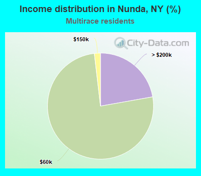 Income distribution in Nunda, NY (%)