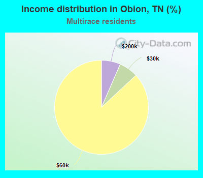Income distribution in Obion, TN (%)