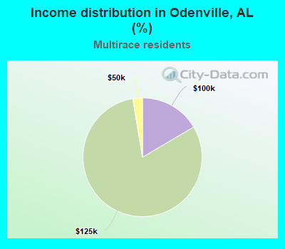 Income distribution in Odenville, AL (%)