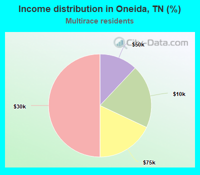 Income distribution in Oneida, TN (%)