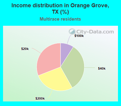 Income distribution in Orange Grove, TX (%)