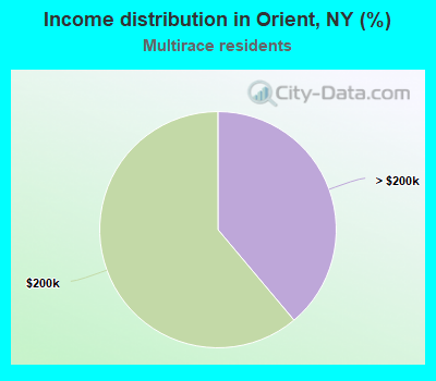Income distribution in Orient, NY (%)