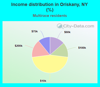 Income distribution in Oriskany, NY (%)