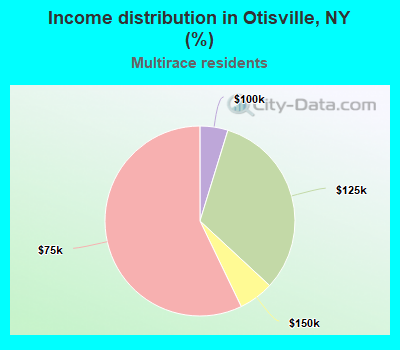 Income distribution in Otisville, NY (%)