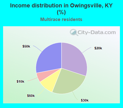 Income distribution in Owingsville, KY (%)