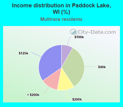 Income distribution in Paddock Lake, WI (%)