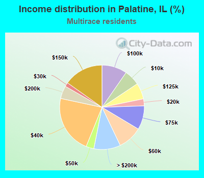 Income distribution in Palatine, IL (%)