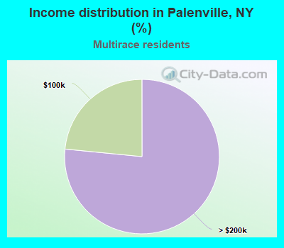 Income distribution in Palenville, NY (%)