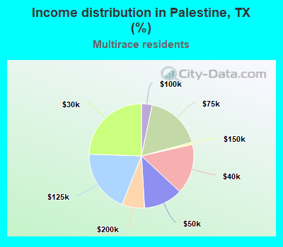 Income distribution in Palestine, TX (%)