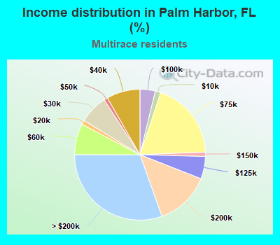 Income distribution in Palm Harbor, FL (%)