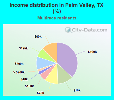Income distribution in Palm Valley, TX (%)