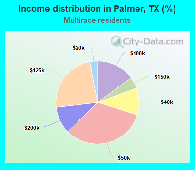 Income distribution in Palmer, TX (%)
