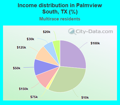 Income distribution in Palmview South, TX (%)