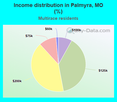 Income distribution in Palmyra, MO (%)