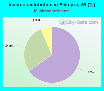 Income distribution in Palmyra, WI (%)