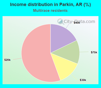 Income distribution in Parkin, AR (%)