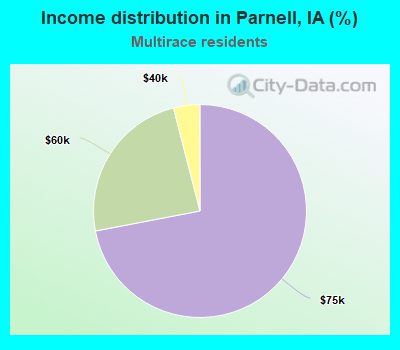 Income distribution in Parnell, IA (%)
