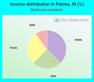 Income distribution in Patoka, IN (%)