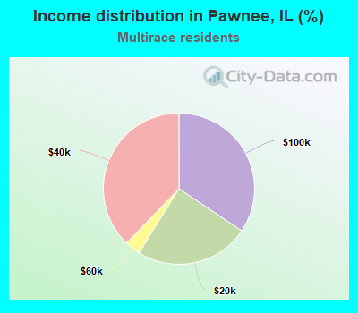 Income distribution in Pawnee, IL (%)