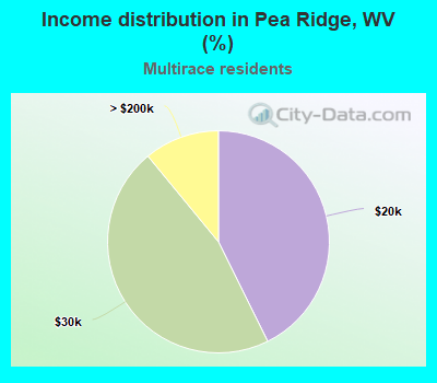 Income distribution in Pea Ridge, WV (%)