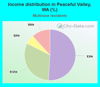 Income distribution in Peaceful Valley, WA (%)