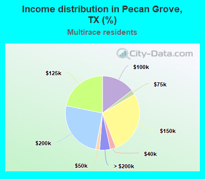 Income distribution in Pecan Grove, TX (%)