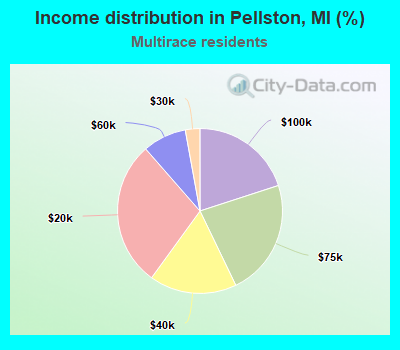 Income distribution in Pellston, MI (%)