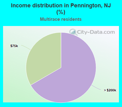 Income distribution in Pennington, NJ (%)