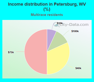 Income distribution in Petersburg, WV (%)