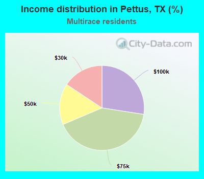 Income distribution in Pettus, TX (%)