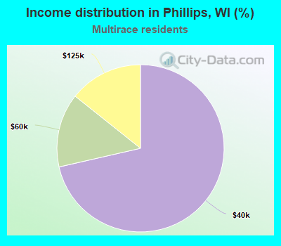 Income distribution in Phillips, WI (%)