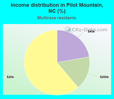 Income distribution in Pilot Mountain, NC (%)