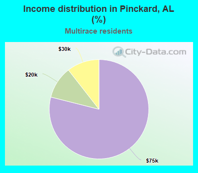 Income distribution in Pinckard, AL (%)