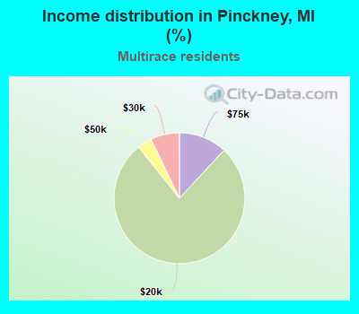 Income distribution in Pinckney, MI (%)