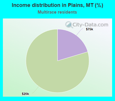 Income distribution in Plains, MT (%)