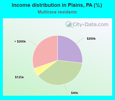 Income distribution in Plains, PA (%)