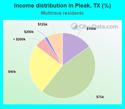 Income distribution in Pleak, TX (%)
