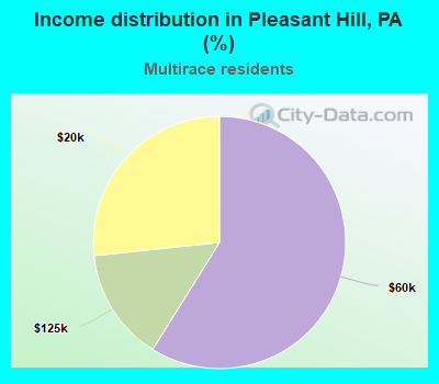 Income distribution in Pleasant Hill, PA (%)