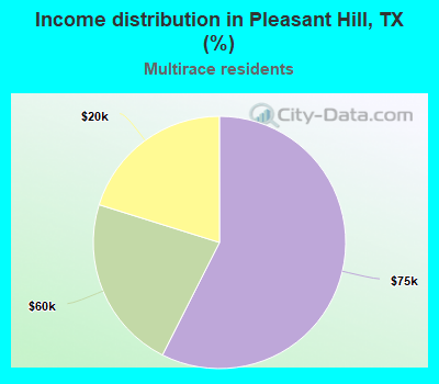 Income distribution in Pleasant Hill, TX (%)