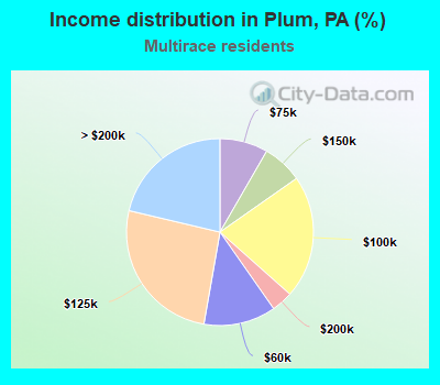 Income distribution in Plum, PA (%)