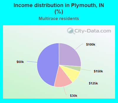 Income distribution in Plymouth, IN (%)